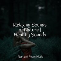 Ambient Bliss - Ambient Forest & White Noise Sound Garden & Yoga