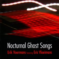 Night Dobro III - Eric Vloeimans & Erik Voermans