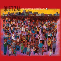 ¡Mira! (Look!) - Quetzal