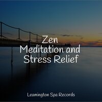 Spa Music - Ambient Arena & Deep Sleep Systems & The Sleep Principle
