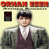 Dalgalandım Da Duruldum - Orhan Esen
