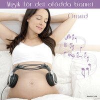 Ave Maria - Jack Francis & World Pregnant Music & Франц Шуберт