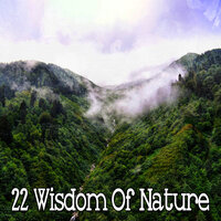 Поход по природе - Nature Sounds Artists