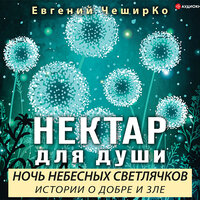 Евгений ЧеширКо. «Ночь Небесных Светлячков. Истории о Добре и Зле». Часть 5 - Станислав Иванов