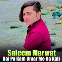 Yarane Pa Zare Nashi - Saleem Marwat