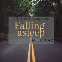 Sometimes I Fall Asleep - Martin Mind