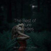 Quiet Wind Whispers - Serenity Spa Music Relaxation & Meditation Music Club & Especialistas de Musica para Dormir