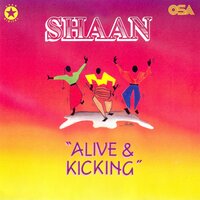 Pehli Wari - Shaan