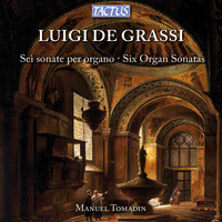 Organ Sonata No. 5 in D Minor-major: III. Rondo. Allegro - Manuel Tomadin