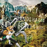 Brand New Hairdo - Wild Honey