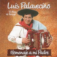 No Se Sabe Dijo Chávez - Luis Palavecino