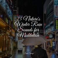 Rain on Car - Study Zone & Zona Música Relaxante & Native American Flute