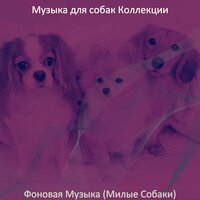 Звуки (Одинокие собаки) - Музыка для собак Коллекции