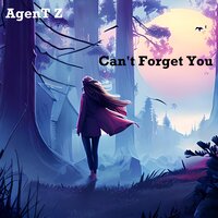 Can't Forget You - Agent Z