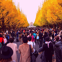 Fiery Piano and Acoustic Bass - Vibe for Tokyo Clubs - Coffee House Instrumental Jazz Playlist