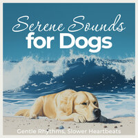 A Dog’s Peace - Relax My Dog & Dog Music Zone & Music for Dogs Peace