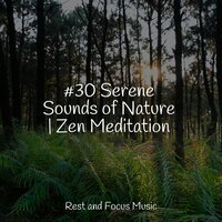 Quiet Places - Mindfulness Meditation Universe & Tibetan Singing Bowls for Relaxation & The Sleep Helpers