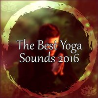 Sun Salutation - Yin Yoga Academy