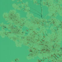 Serene Moods for Unwinding from Work - Easy Listening Chilled Jazz