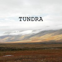 Tundra - Alessio Leone