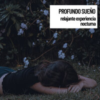 Dreaming Brain - Reiki Armonía & Ondas Alfa & Musica Para Niños