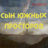Сохрани контроль - Flamey