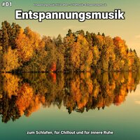 Entspannungsmusik pt. 73 - Entspannungsmusik Olivia Lehen & Schlafmusik & Entspannungsmusik