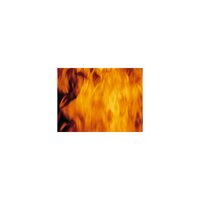 Estrogen Bgm 08 - BGM laboratory