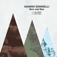 Joker and Wild - Sandro Dominelli & Chris Tarry & Rez Abbasi