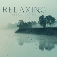 Natural Remedy - Relaxing Spa Music Zone