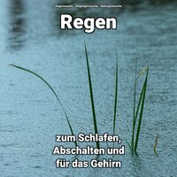 Regen für Wellness - Regengeräusche & Naturgeräusche & Regensounds