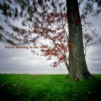 Leaves Blowing in the Wind, Pt. 14 - Nature Sounds from TraxLab, Calming Sounds from TraxLab & Ambient Sounds from I'm In Records & Ambient Sounds from I'm In Records & Calming Sounds from TraxLab & Nature Sounds from TraxLab