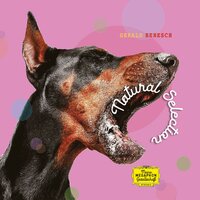 Orchester vs. Persian Drums vs. VocalMix - Gerald Benesch