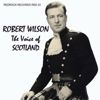 I Heard You Singing - Robert Wilson