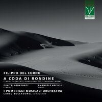 Not In My Name: #4 – Name - I Pomeriggi Musicali Orchestra & Carlo Boccadoro & Emanuele Arciuli