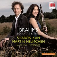 1. Allegro appassionato - Sharon Kam & Иоганнес Брамс