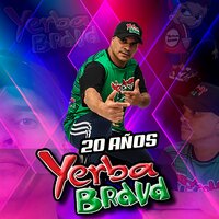Pibe Cantina - Yerba Brava