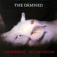 Lovely Money - The Damned