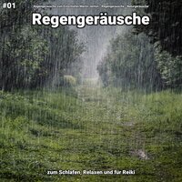 Regengeräusche, pt. 81 - Regengeräusche zum Einschlafen Martin Jenton & Regengeräusche & Naturgeräusche