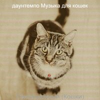 Звуки (Кошки) - даунтемпо Музыка для кошек