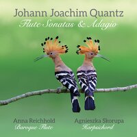Flute Sonata in G Minor, Qv 1:125: II. Allegro Assai - Anna Reichhold & Agnieszka Skorupa & Иоганн Иоахим Кванц