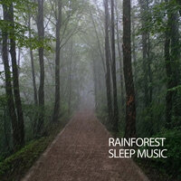 The Classical Experience - Forest FX & The Forest Escape & Outdoor Field Recorders