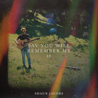Say You Will Remember Me - Shaun Jacobs & SERGINI