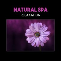 Zen Massage - Unforgettable Paradise SPA Music Academy