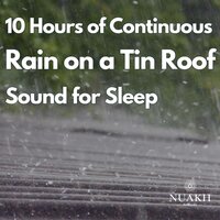 Rain Sound on a Tin Roof, Pt 95 (Continuous, No Gaps) - Rain Sounds For Sleep & White Noise Radiance