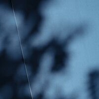 loose - Mike Roho