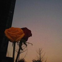 Never Be Alone - 田由甲 & HH & BBBLUELEE