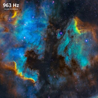 Night of Oneness - Miracle Frequencies