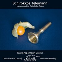 Passionsmusik, Teil IV: VII. Aria: Sichres Menschenkind erschrecke, TVWV 10:19 - Tanya Aspelmeier & Ensemble Schirokko Hamburg & Rachel Harris