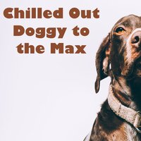 Phazer - Sleepy Dogs & Dog Music Club & Dog Relaxation